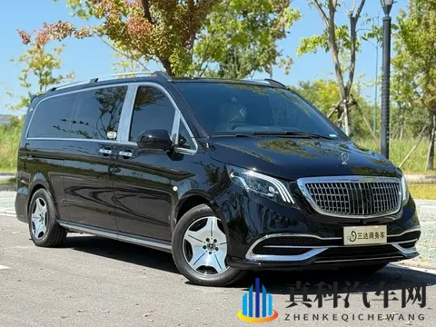 亲子乱AⅤ一区二区三区：新车型走红：家庭用车市场新焦点-1