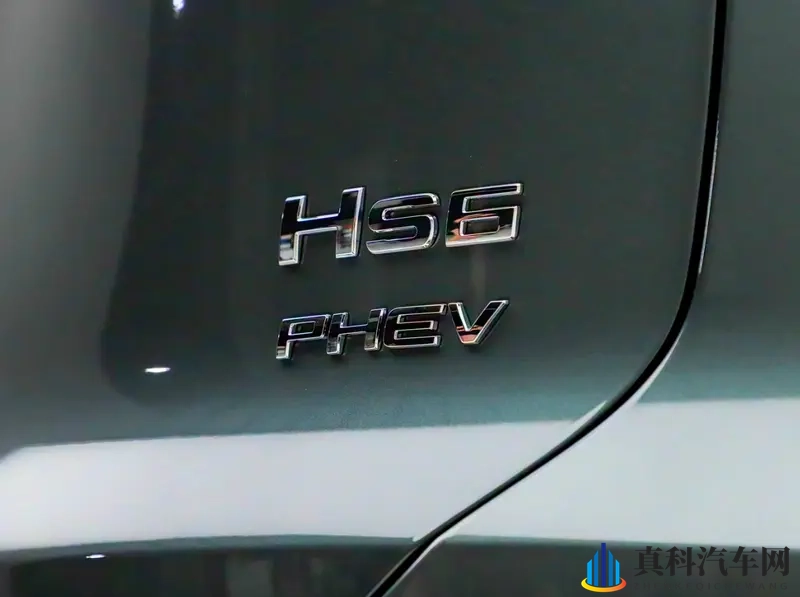 纯电续航205km,轴距2900mm配五座布局-1