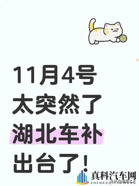 11月4号太突然了湖北车补出台了-1