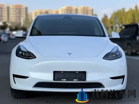 17万多入手准新特斯拉Model Y，都市代步优选-3