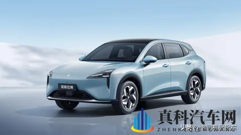 数据不会说谎!99%电车车主下辆车还选纯电!-1