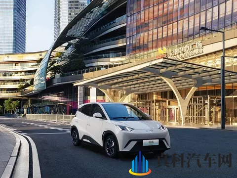 10万预算买纯电车，这五款“销量王”值得一看！-1