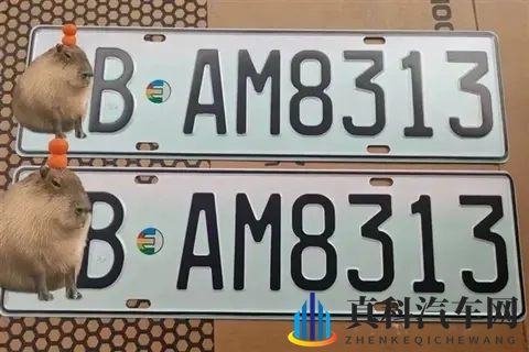 新能源绿牌用“UV灯”照射后能变白牌 网友:帅 但蜀黍不认-2