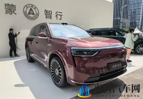 国产车企，纷纷走理想的路，让理想自己不好走了-1