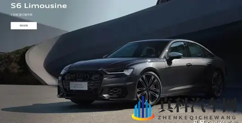 47秒破百 29T V6 600N·m，六边形格栅 21英寸双五辐轮圈 这车太帅了-3