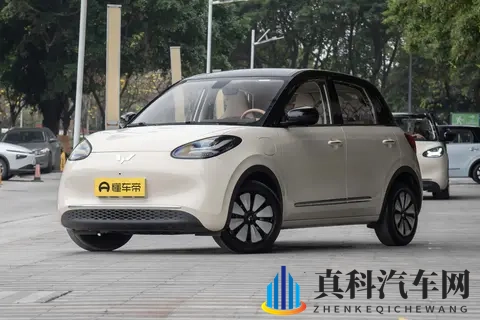 五菱缤果选买建议：满足不同需求的购车指南-2