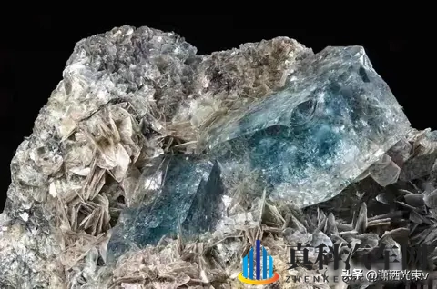 方程豹要推“镁”车，命名太硬核，品牌能扛住吗-3