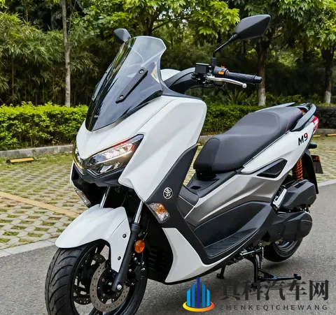 7980元掀桌 150水冷平踏配13L油箱+ABS+TCS 500公里续航卷疯同级-1