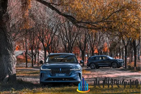 现场看测试场对比:航海家稳得像动画,分贝数据不掺水-2