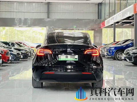 17万不到拿下特斯拉Model Y，体验未来科技出行！-3