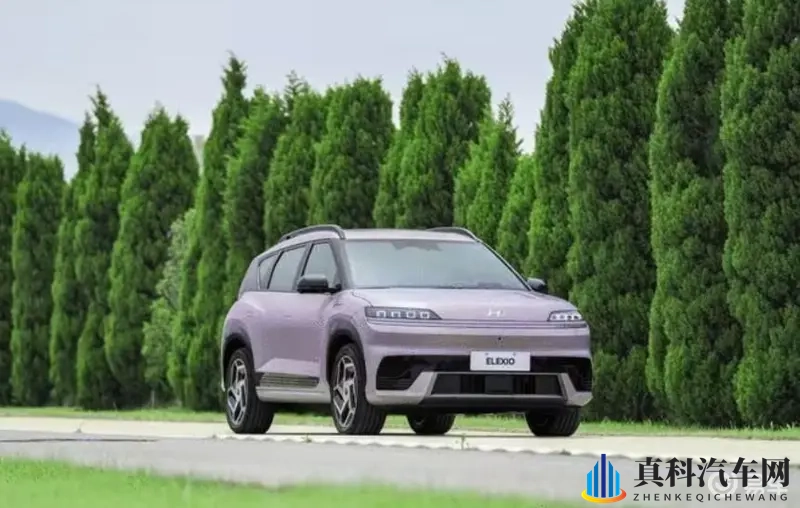 亚洲综合区:中国汽车市场:蓬勃发展,新能源汽车成新引擎-2