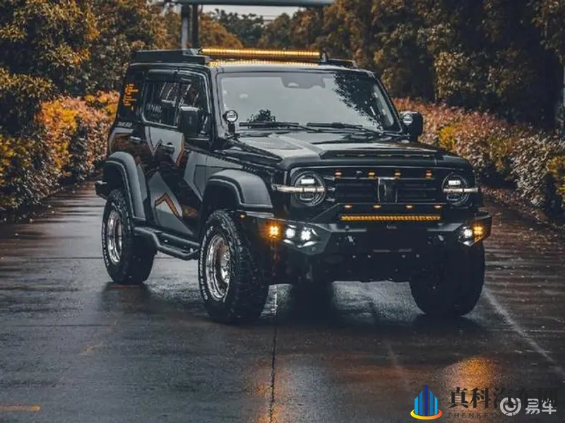 黄色软件3.3：《揭秘隐藏版应用：版本3.3深度剖析》-1