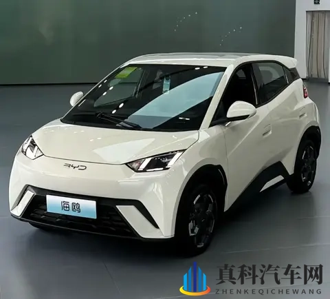 海鸥真实口碑：优点夸到停，缺点吐槽声从没断-2