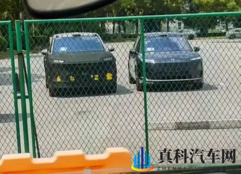 蔚来ES9内饰门板疑似曝光：暗红配色 还有脚踏板-3