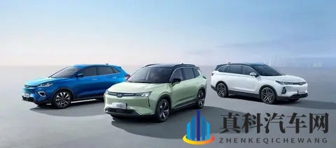 威马汽车：沉寂后启幕 “复活”，挑战与希望并存-2