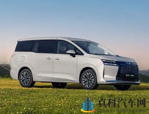 五菱别克小鹏齐上阵,MPV不再只给老板坐,家庭出行悄悄变了天-3