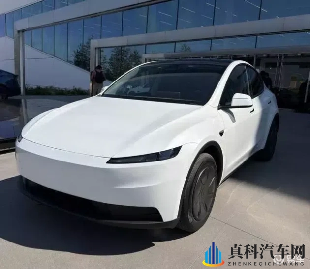 萌白酱金丝旗袍VIP 定制：汽车定制新潮流：金丝旗袍风来袭，个性定制成趋势-1