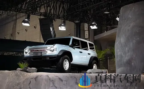 深度| 穿越周期的福特:中国三十年与百年意志-1