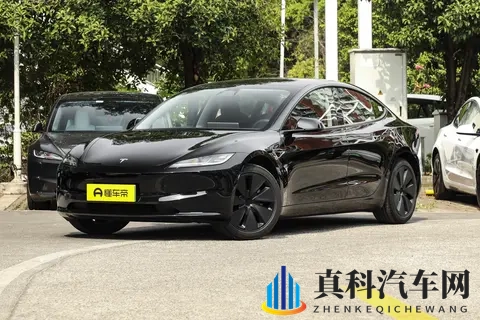 草莓站长统计:网站数据草莓版统计报告-2