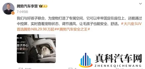 腾势玩起生态那股劲头,怕是连雷军都得竖大拇指?-2