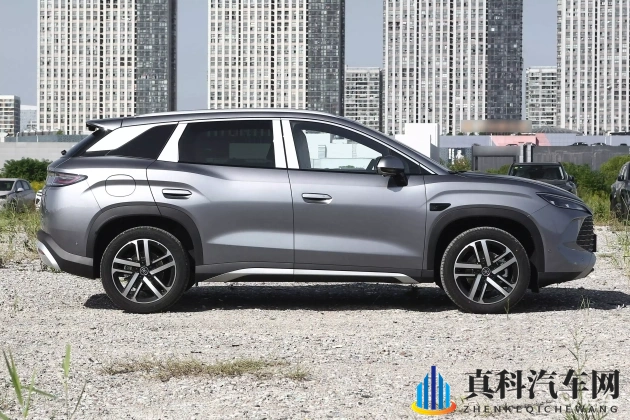 男女互操网站：男女互动，共享快乐平台-2