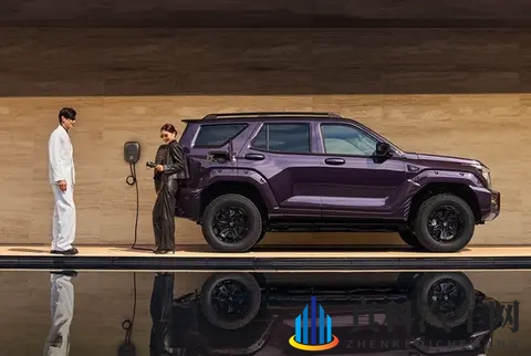 全新坦克400上市 零百加速最低仅43秒 2498万起售-3