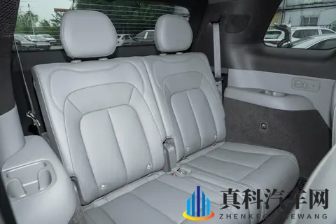 30万预算，大六座SUV怎么选？深度体验腾势N8L-3