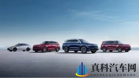 赛力斯港股上市首日破发,问界已经跌落神坛?-3