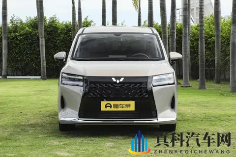 家用MPV别乱买,星光 730这款10万级新车空间大,动力足,实在-3