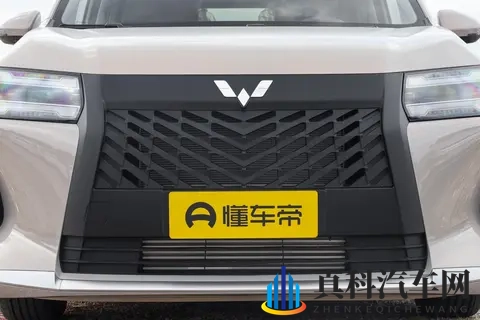 768万起真7座家用MPV，星光730表现均衡值得关注-2