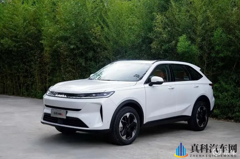 2.0T发动机,每公里5毛钱?国民SUV在此刻具象化了-1