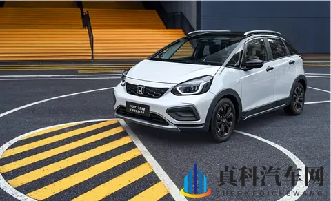 市场很热闹，用户更务实！如何看待争议之下的“飞度现象”-2