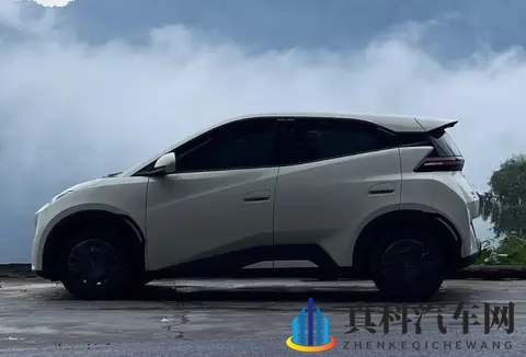 海豚优缺点大实话：买菜接娃超顺手，长途出行就露怯-1