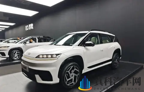 十五万车里装二十万配置 新电动车把市场搅个天翻地覆-1