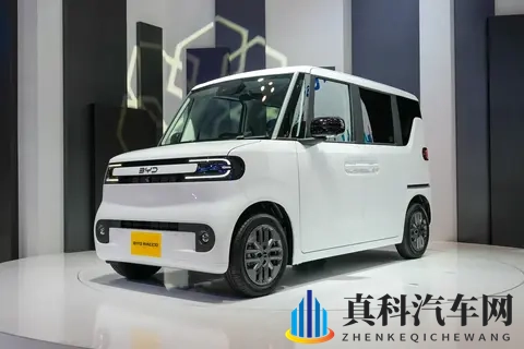 比亚迪海獭会在国内生产和上市?-1