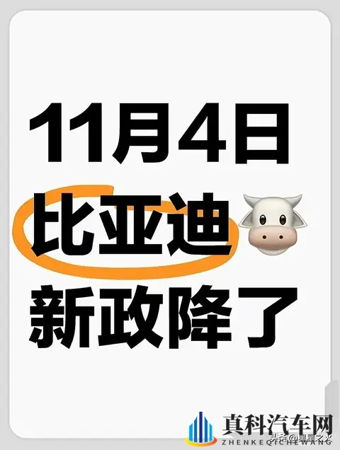 刚开完会：比亚迪全系新政，大跳水！💥-1