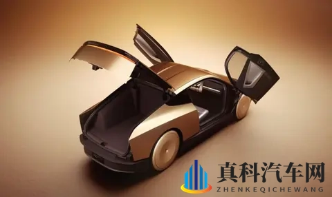 特斯拉的新车来了，没有方向盘也没刹车，这回可把人看呆了-3