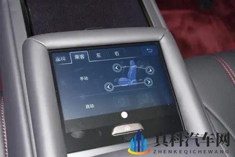 黑人 迪克 娇小 亚洲人 青少年：汽车新风尚：揭秘不同族群的购车秘密-2