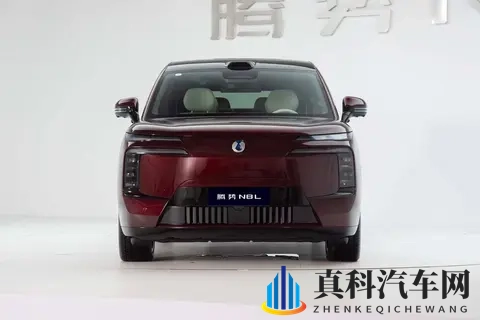 盘点3款豪华大六座：15-50万皆可选，还带魔毯空悬_激光雷达_投影-1