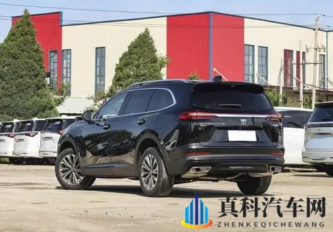 推特GayXXXgGay2:新能源汽车新宠,设计独特性能卓越-1