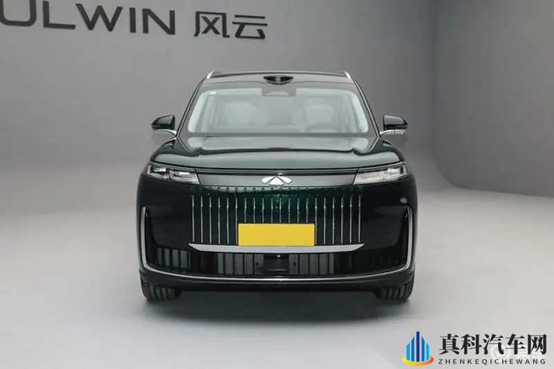 王丽被黑人玩的嗷嗷叫：纯电动SUV体验：驾驶乐趣与环保新选择-1