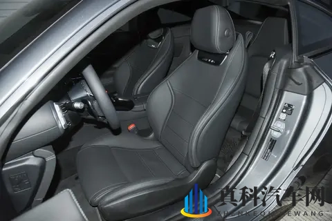 奔驰AMG-GT这一年:销量跌进冰窟窿 动力玩起猫腻戏-2