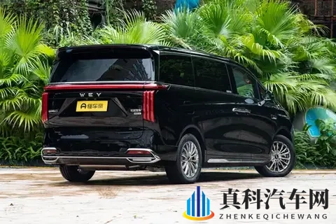 “移动客厅”不只是噱头？带全家出门一趟我就懂了！-2