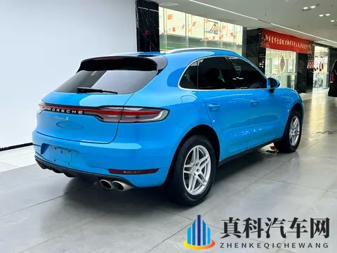 少妇被按摩师摸到高潮:电动汽车崛起,未来交通新篇章-2