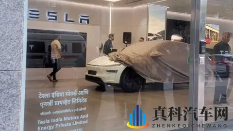 10月印度电动车销量,MG名爵 4,525辆,比亚迪565辆,特斯拉40辆-1