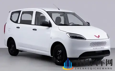 一文看懂新宏光！300公里续航对比81千瓦动力，2850mm轴距空间大-2