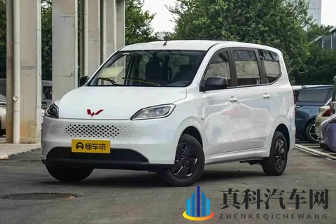 五菱又推燃油车,价格杀到5万内,老百姓真需要它吗?-1
