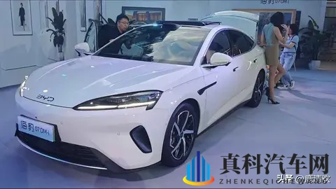 福利导航视频：精选福利资源，一键导航视频大全-2