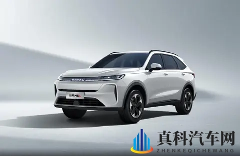 智能、舒适、空间都不缺，这三款燃油SUV来掀新能源桌子了！-3