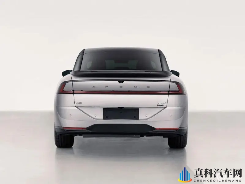 王伟忠和儿媳周莹回乡扫墓:著名导演携儿媳回乡缅怀亲人-2